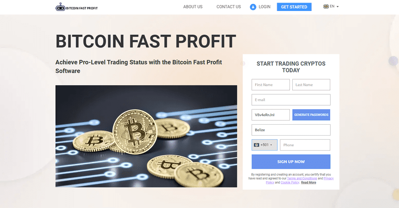 Bitcoin Fast Profit Homepage Screenshot